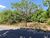 Terreno, 408 hectares - Foto 4