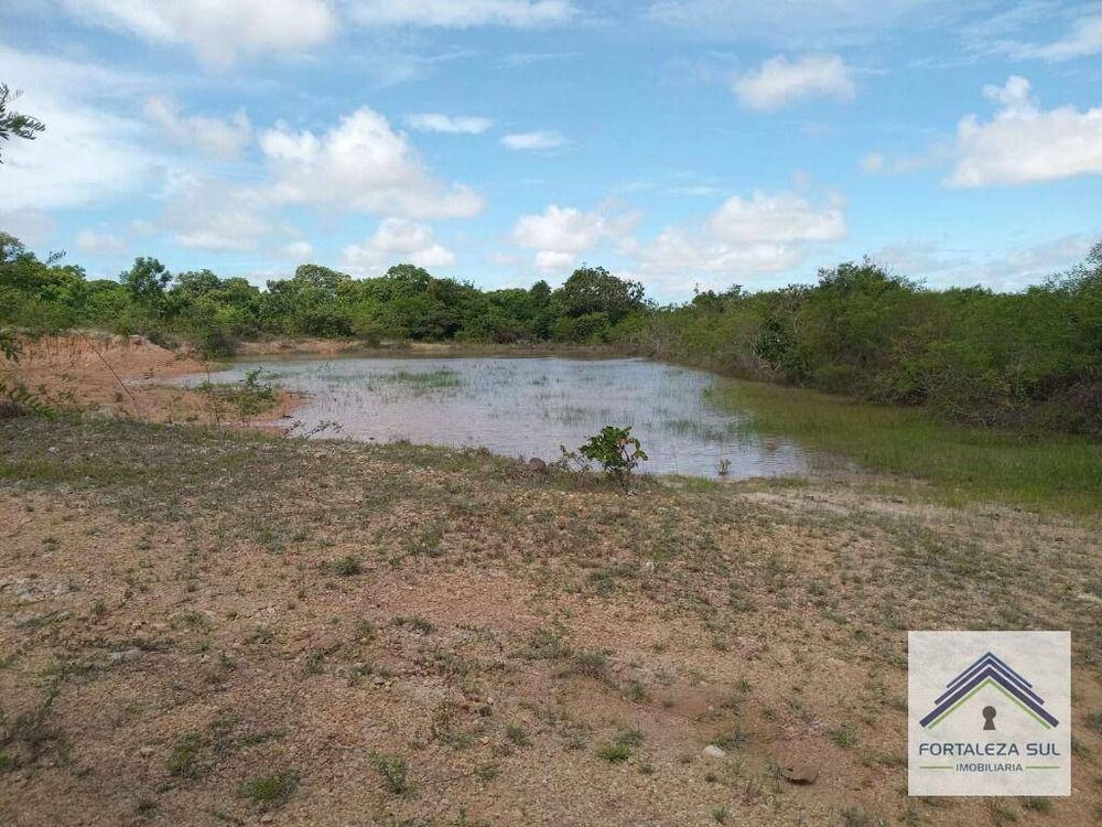 Terreno, 2 hectares - Foto 4