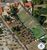 Terreno, 1506 m² - Foto 2