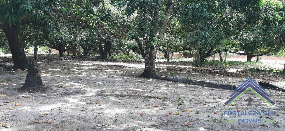 Terreno, 9820 m² - Foto 2