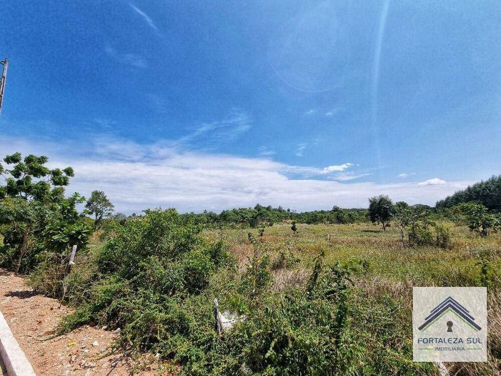 Terreno, 5 hectares - Foto 4