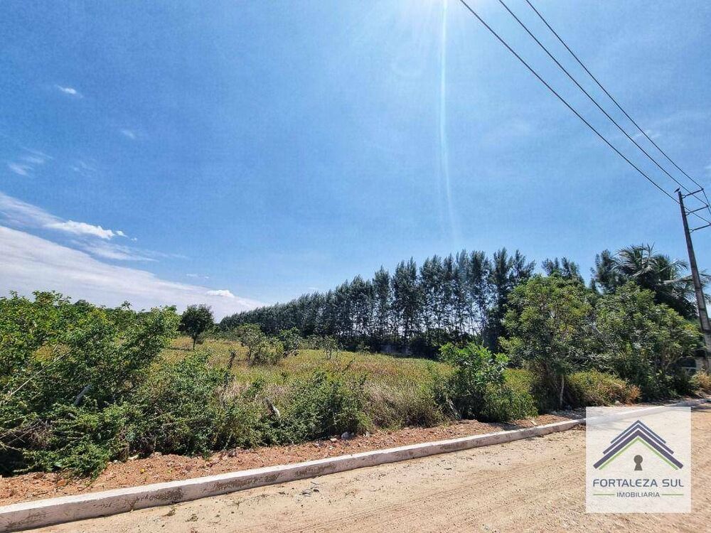 Terreno, 5 hectares - Foto 3