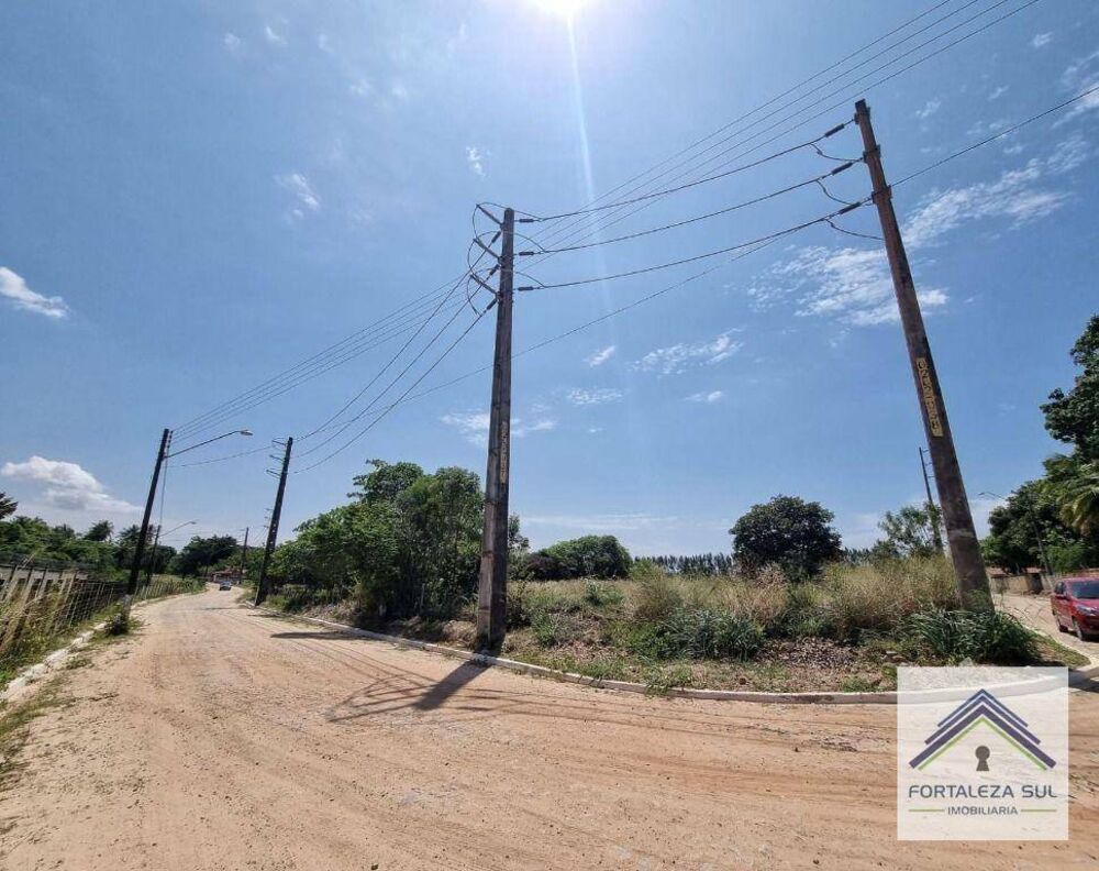 Terreno, 5 hectares - Foto 2