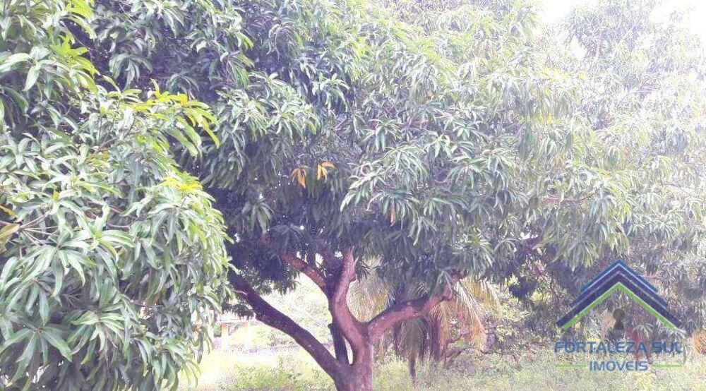 Terreno, 6400 m² - Foto 2