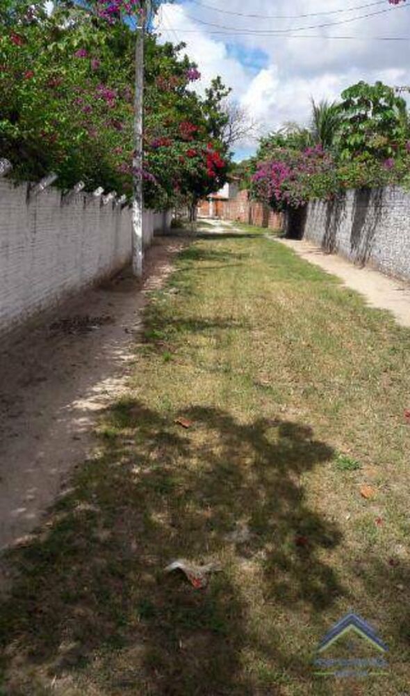 Terreno, 6400 m² - Foto 4