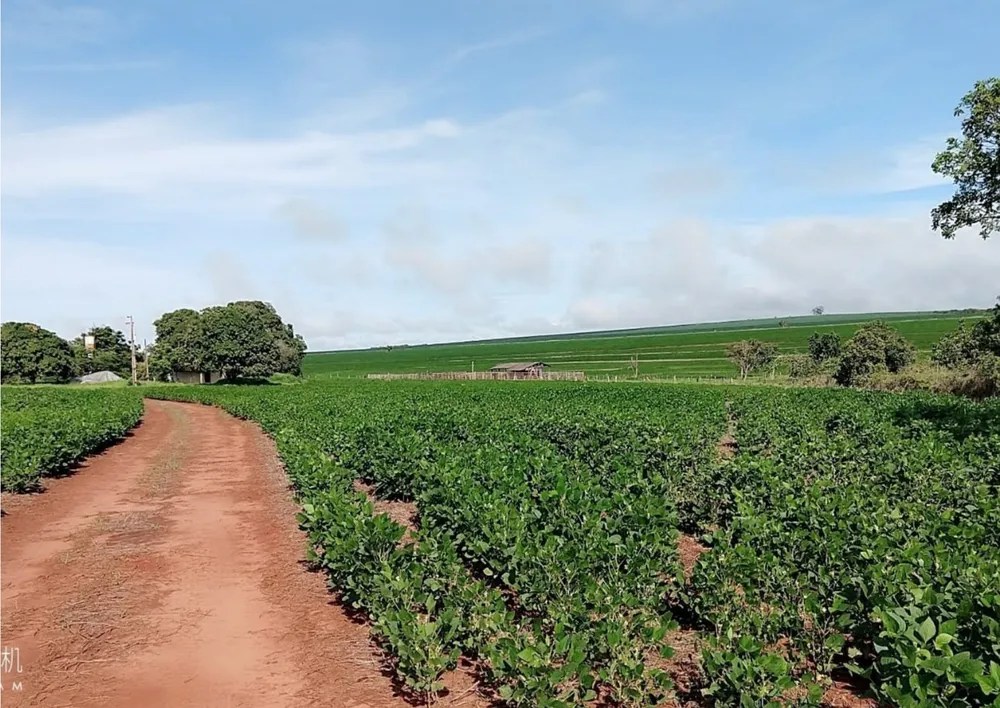 Fazenda, 1165 m² - Foto 1