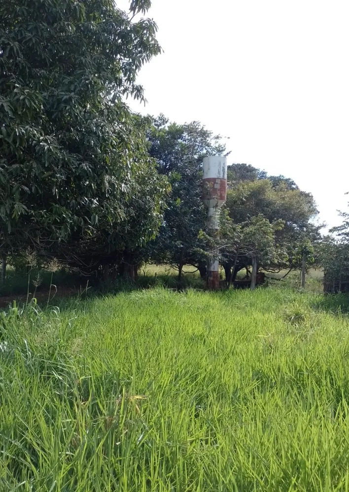 Fazenda, 1165 m² - Foto 3