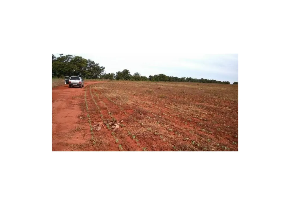 Fazenda, 1165 m² - Foto 7