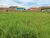 Terreno, 500 m² - Foto 1