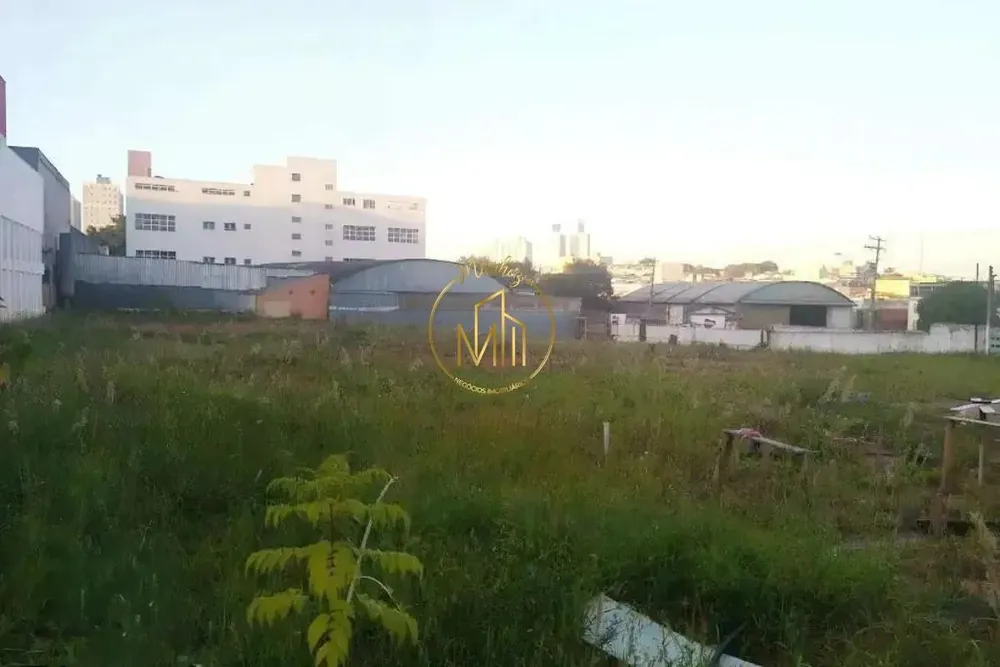 Terreno, 4000 m² - Foto 4