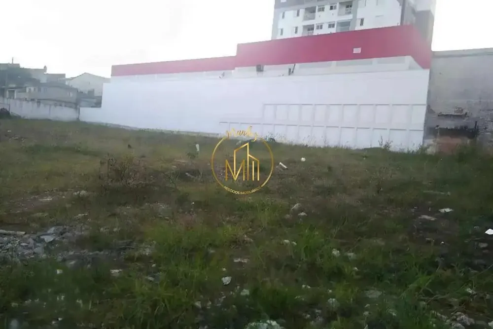 Terreno, 4000 m² - Foto 5
