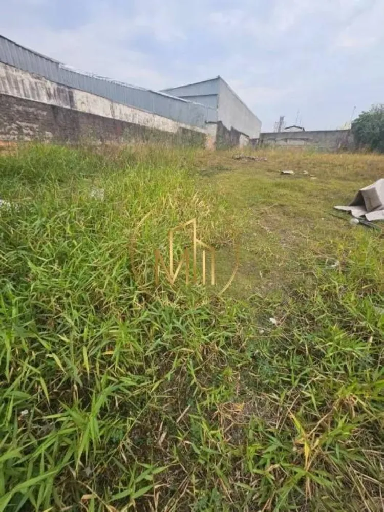 Terreno, 980 m² - Foto 6