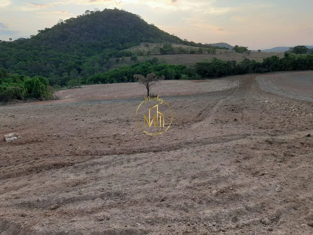 Terreno, 18 hectares - Foto 11