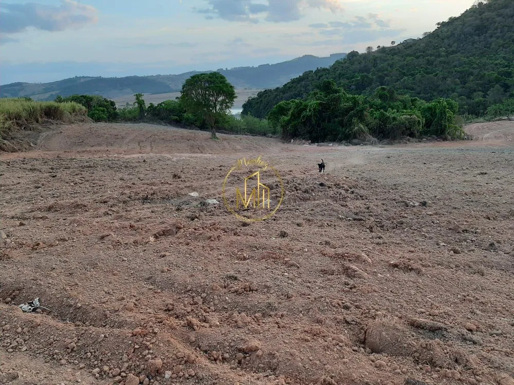 Terreno, 18 hectares - Foto 10