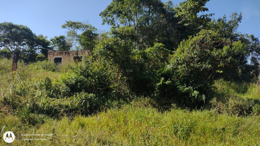 Terreno, 2925 m² - Foto 2