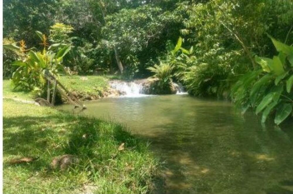 Pousada-Chalé à venda com 10 quartos, 4m² - Foto 1