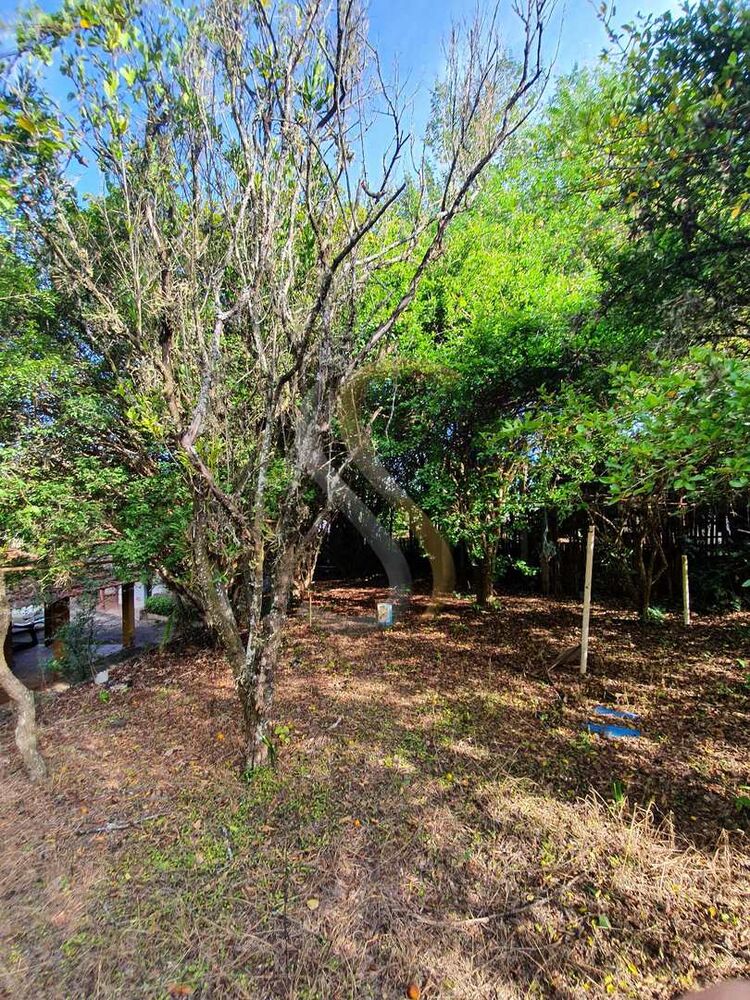 Chácara, 3 quartos - Foto 2