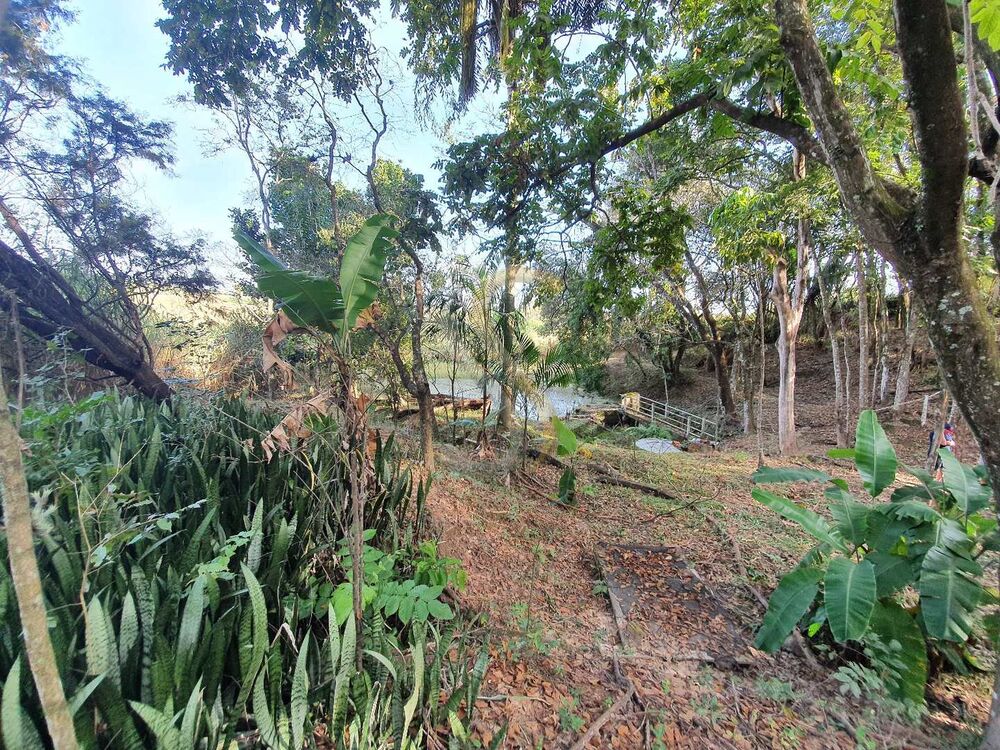 Chácara, 3 quartos - Foto 14