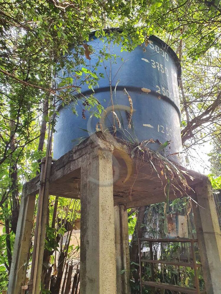 Chácara, 3 quartos - Foto 1