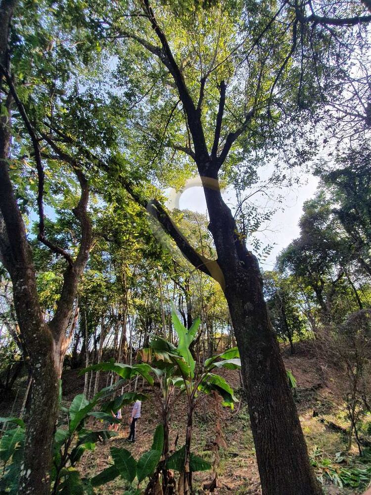 Chácara, 3 quartos - Foto 15