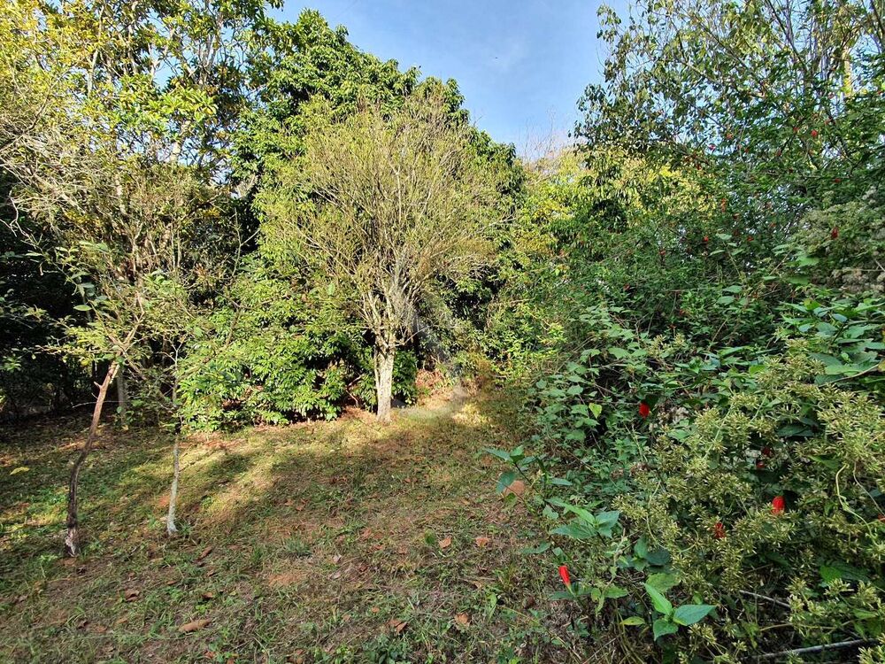 Chácara, 3 quartos - Foto 23