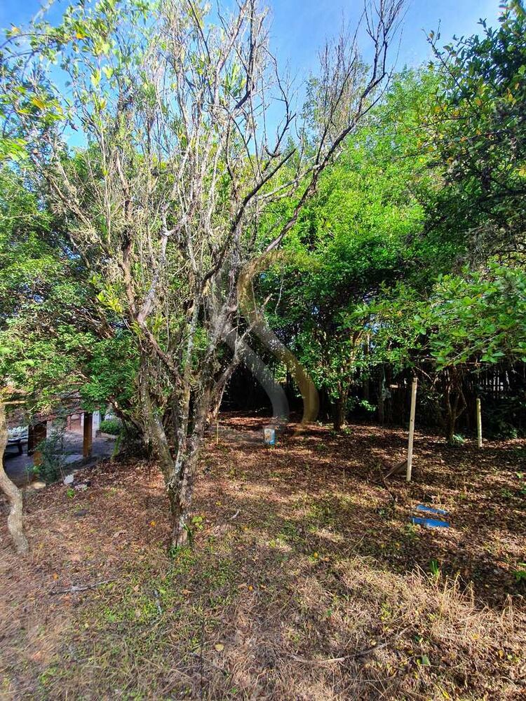 Chácara, 3 quartos - Foto 3