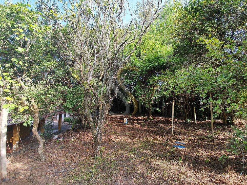 Chácara, 3 quartos - Foto 4