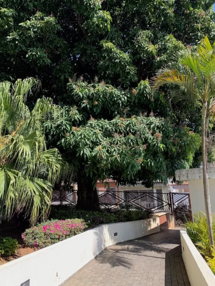 Apartamento, 2 quartos, 52 m² - Foto 10