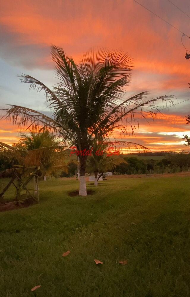 Chácara, 5 hectares - Foto 4