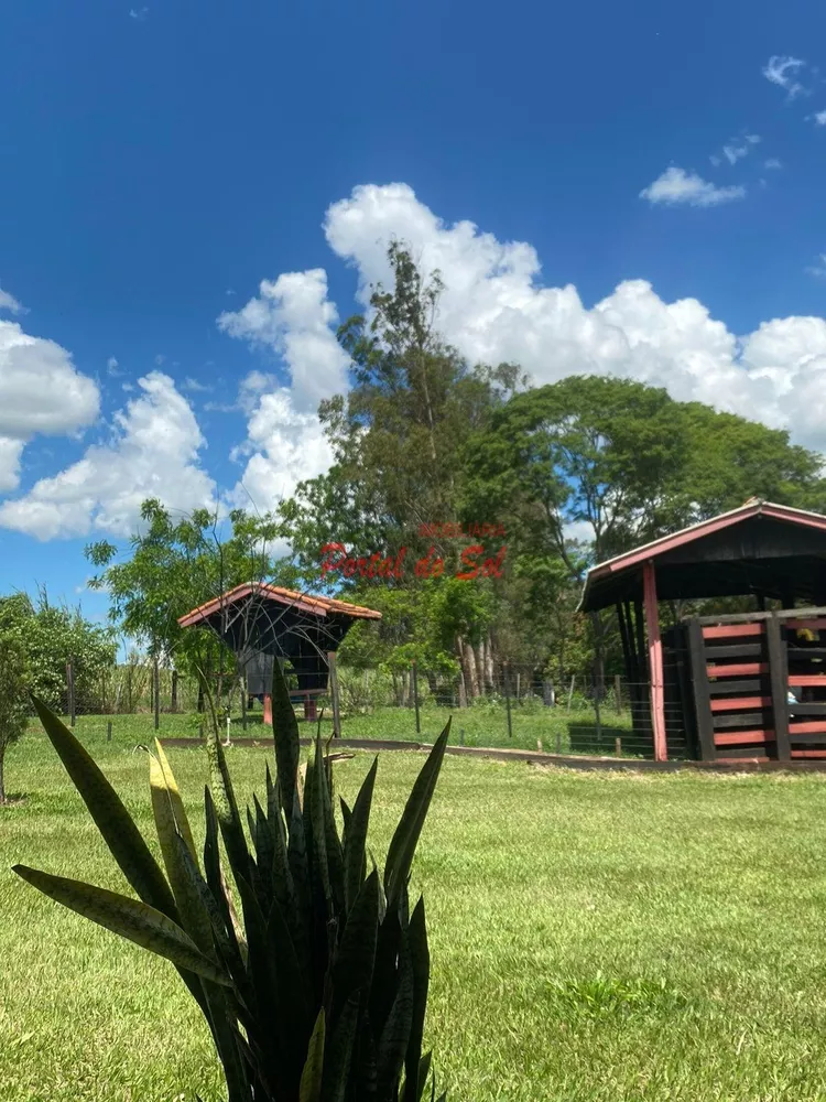 Chácara, 5 hectares - Foto 5