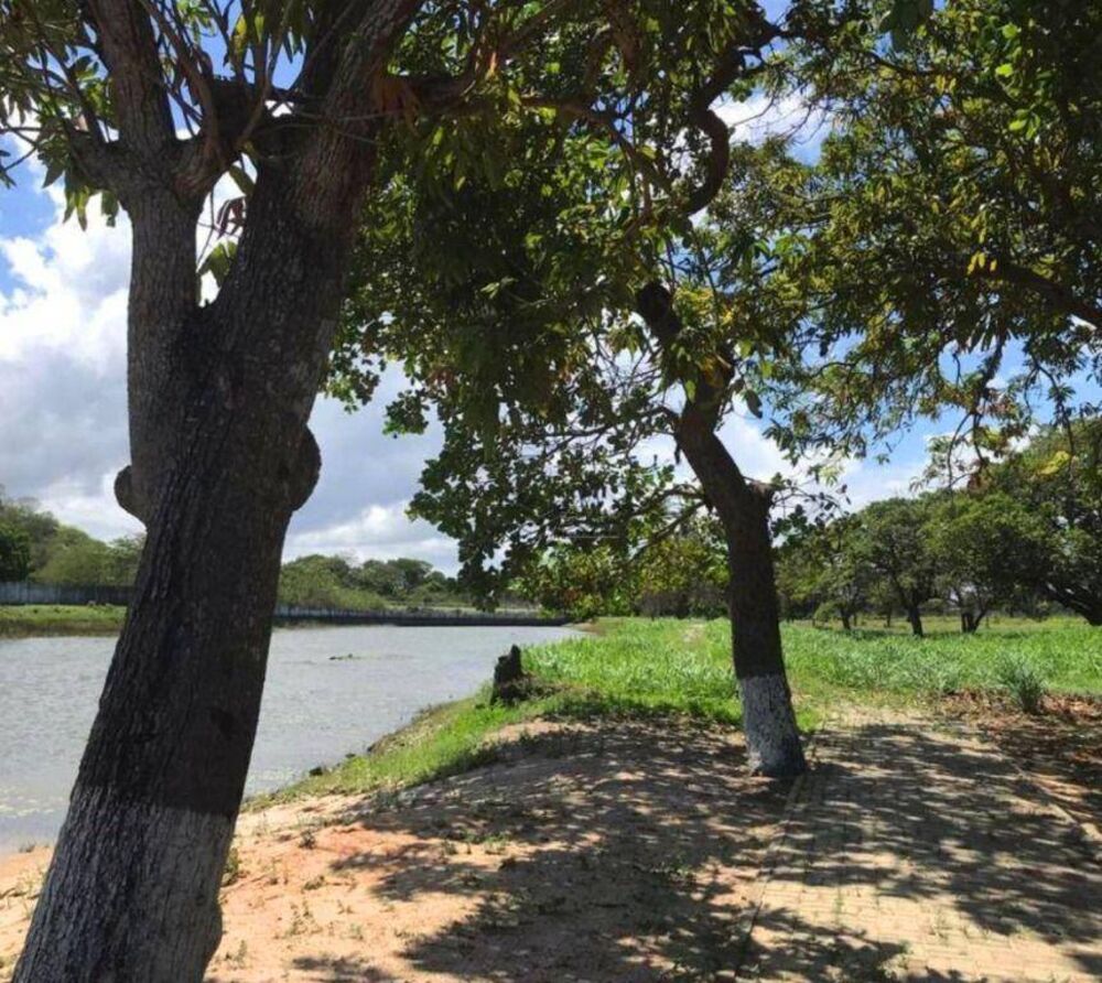 Loteamento e Condomínio, 307 m² - Foto 11