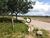 Loteamento e Condomínio, 360 m² - Foto 3