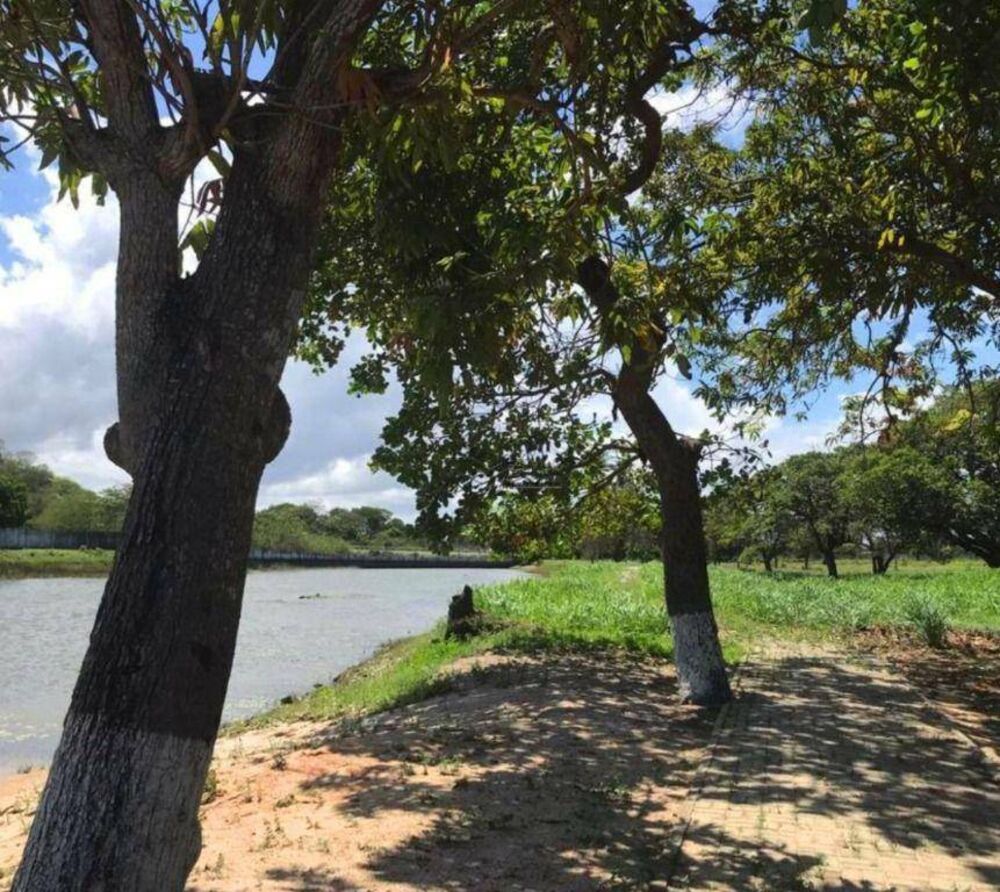 Loteamento e Condomínio, 265 m² - Foto 7