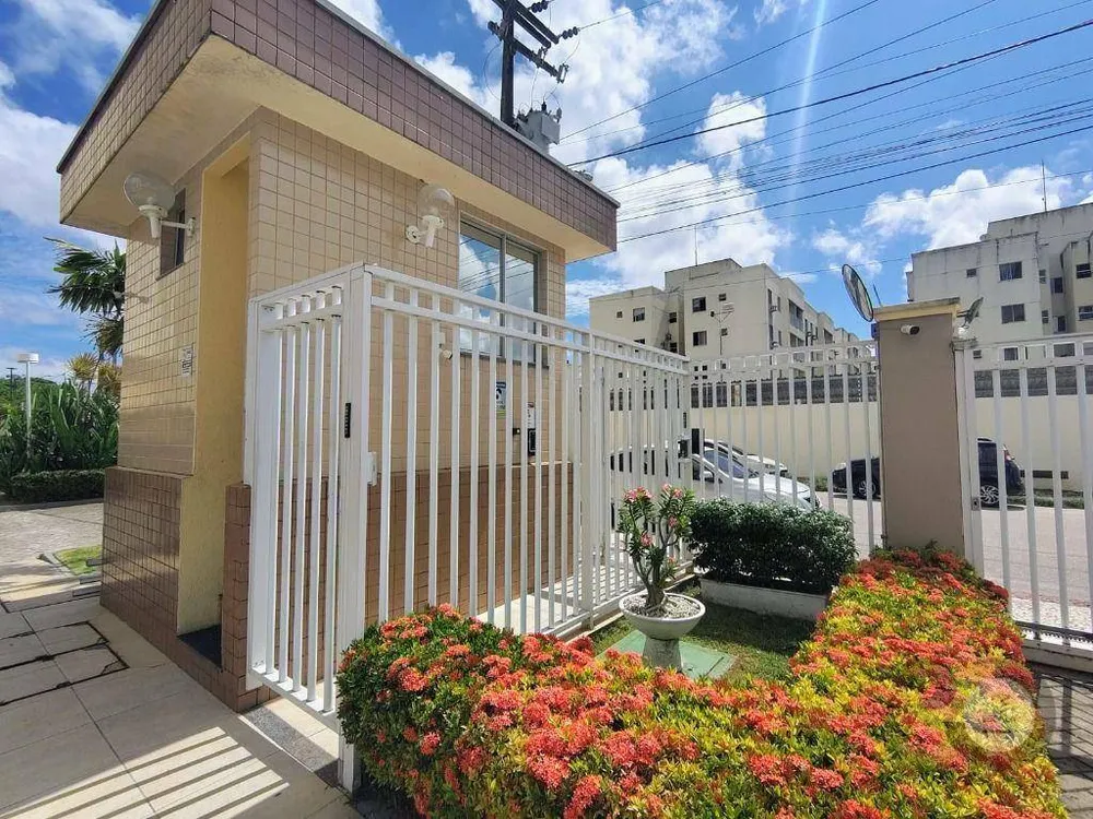 Apartamento, 3 quartos, 70 m² - Foto 11