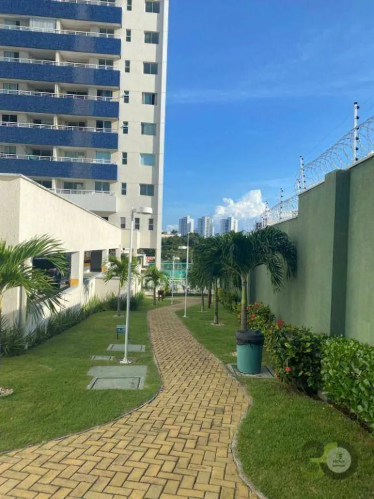 Apartamento, 3 quartos, 75 m² - Foto 11
