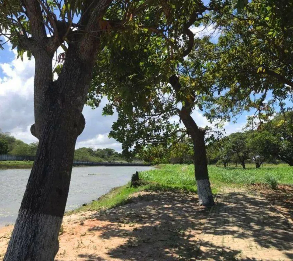 Loteamento e Condomínio, 279 m² - Foto 11