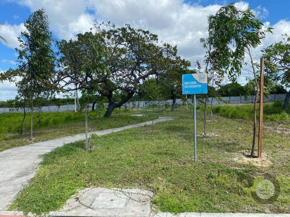 Loteamento e Condomínio, 238 m² - Foto 3