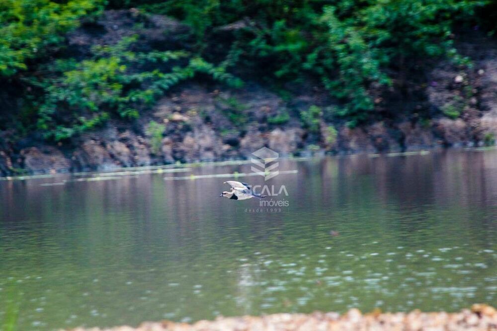 Fazenda, 476 hectares - Foto 6