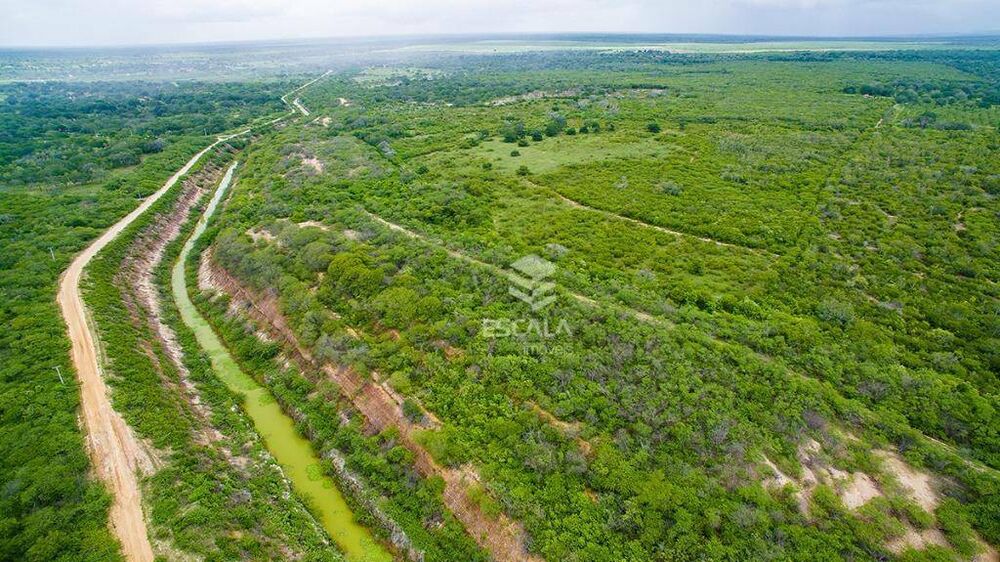 Fazenda, 476 hectares - Foto 4