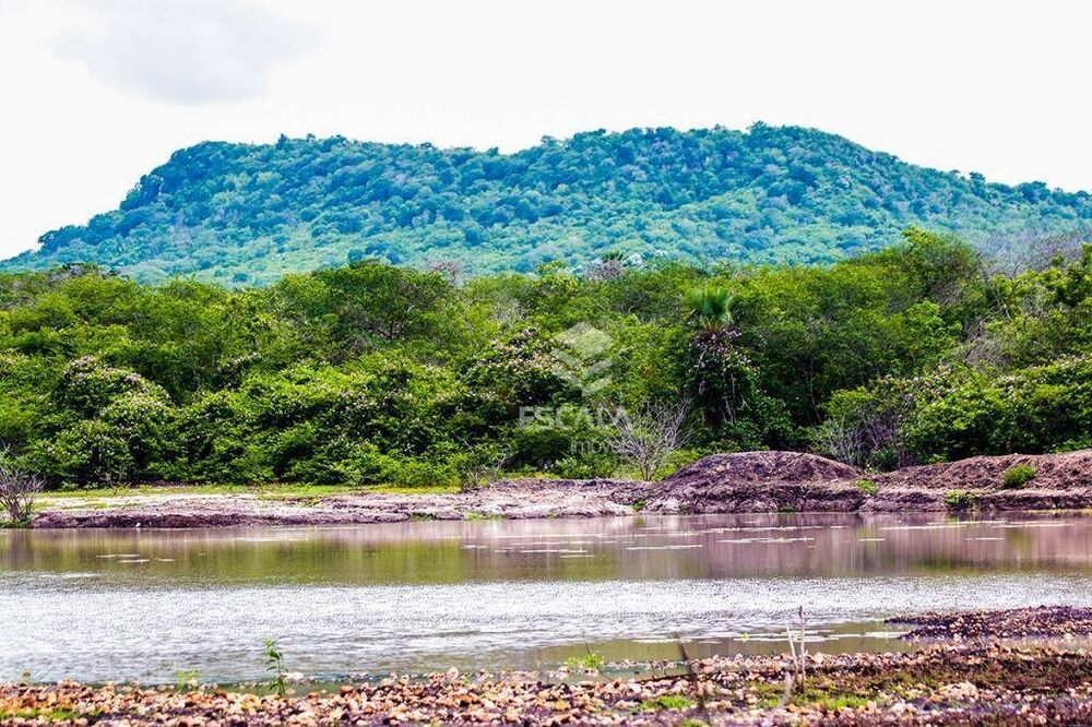 Fazenda, 476 hectares - Foto 8