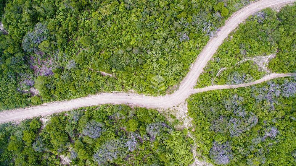 Fazenda, 476 hectares - Foto 2