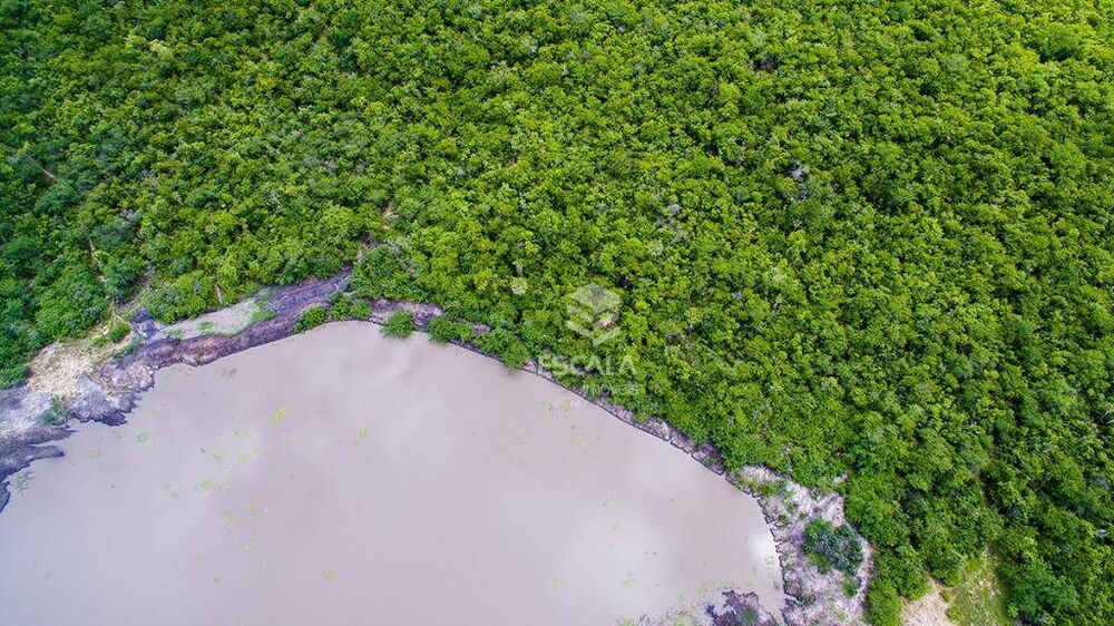 Fazenda, 476 hectares - Foto 3