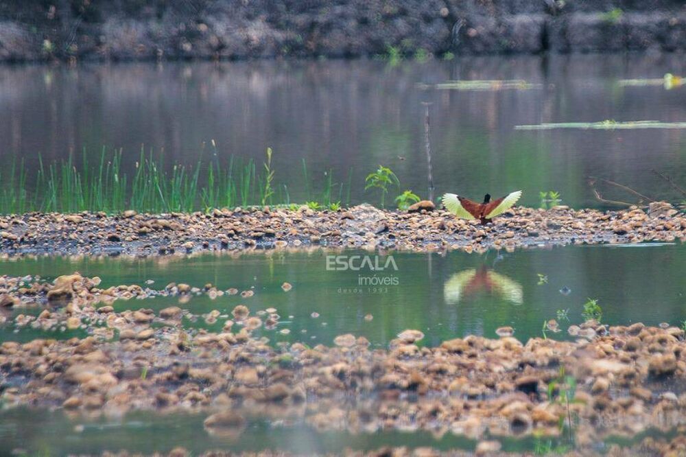 Fazenda, 476 hectares - Foto 7