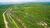 Fazenda, 476 hectares - Foto 4