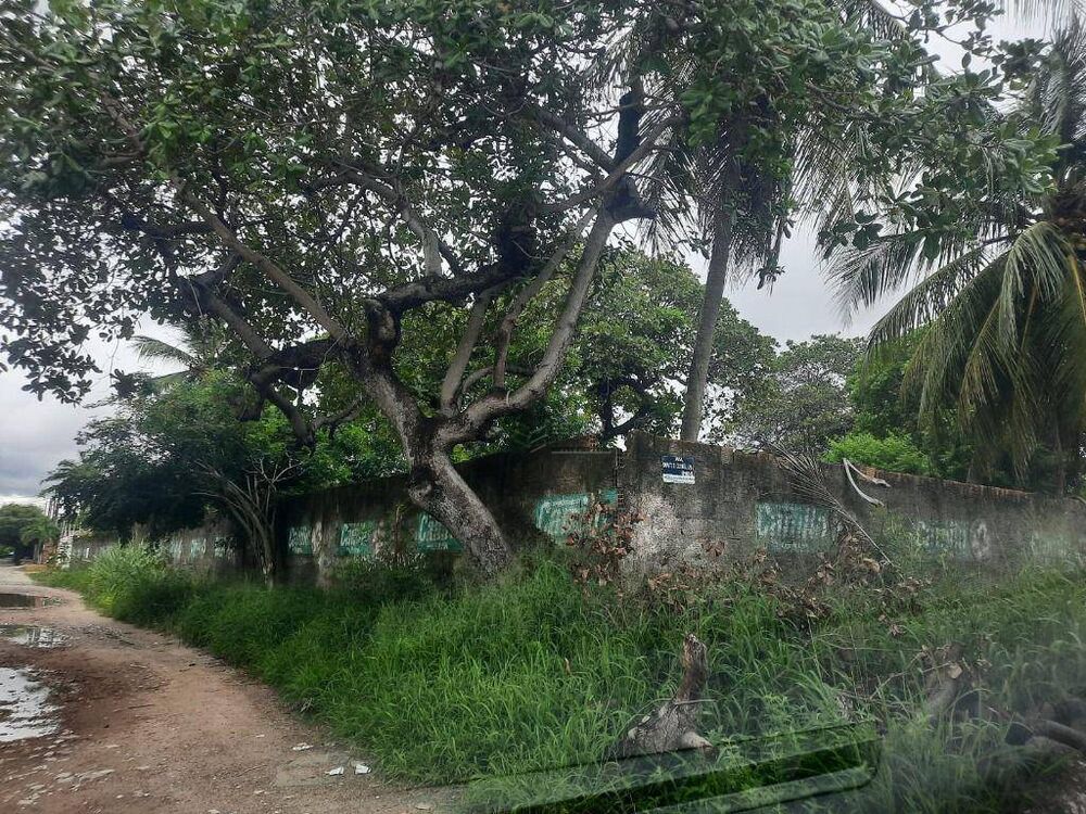 Terreno, 1980 m² - Foto 2