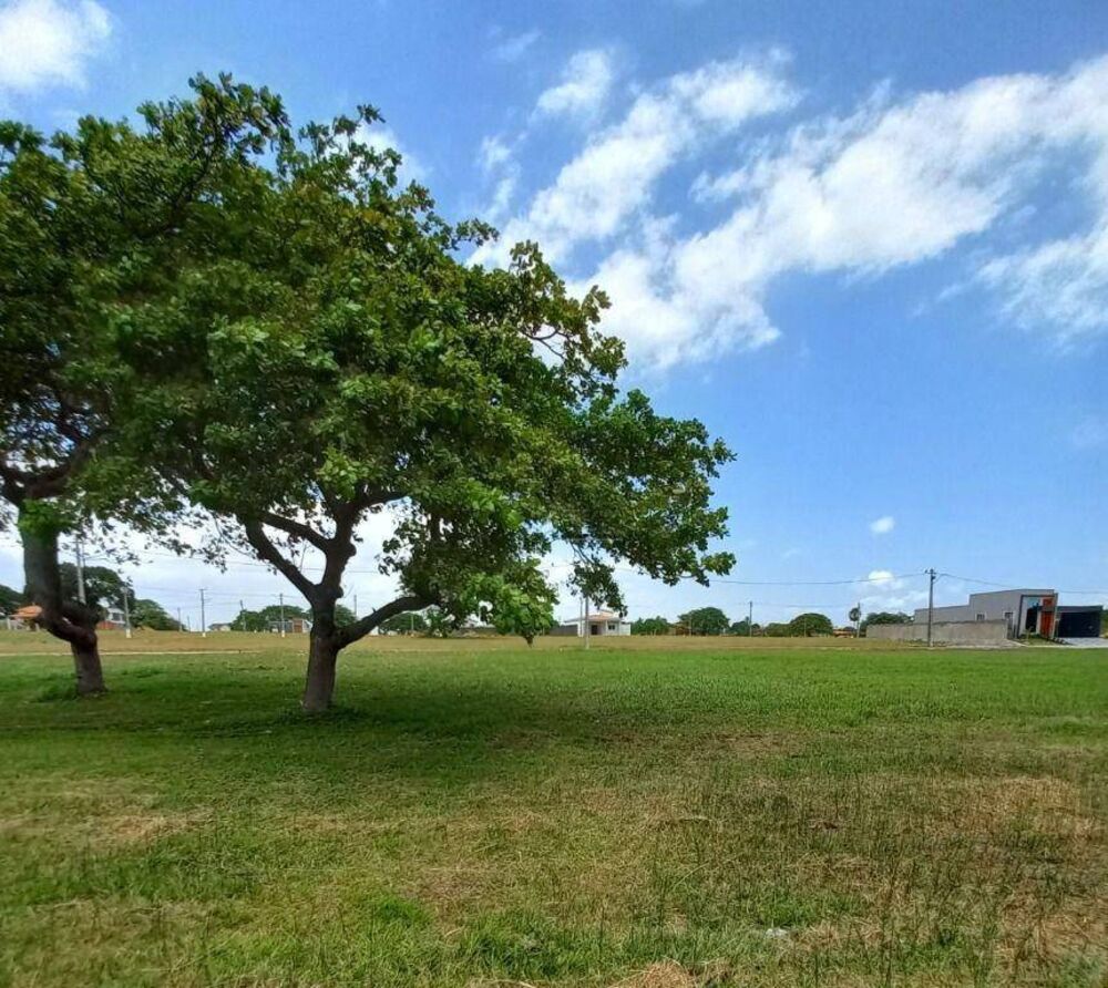 Loteamento e Condomínio à venda, 465M2 - Foto 1