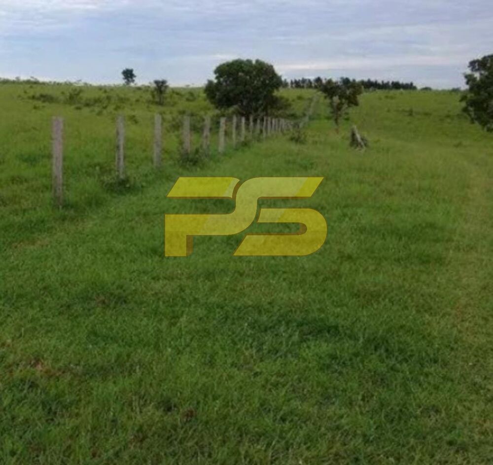 Fazenda - Foto 7