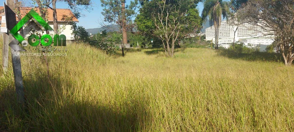 Terreno, 250 m² - Foto 2