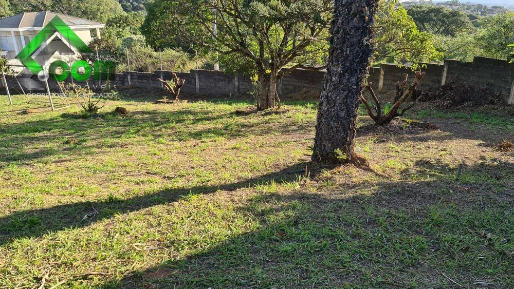 Terreno, 250 m² - Foto 4