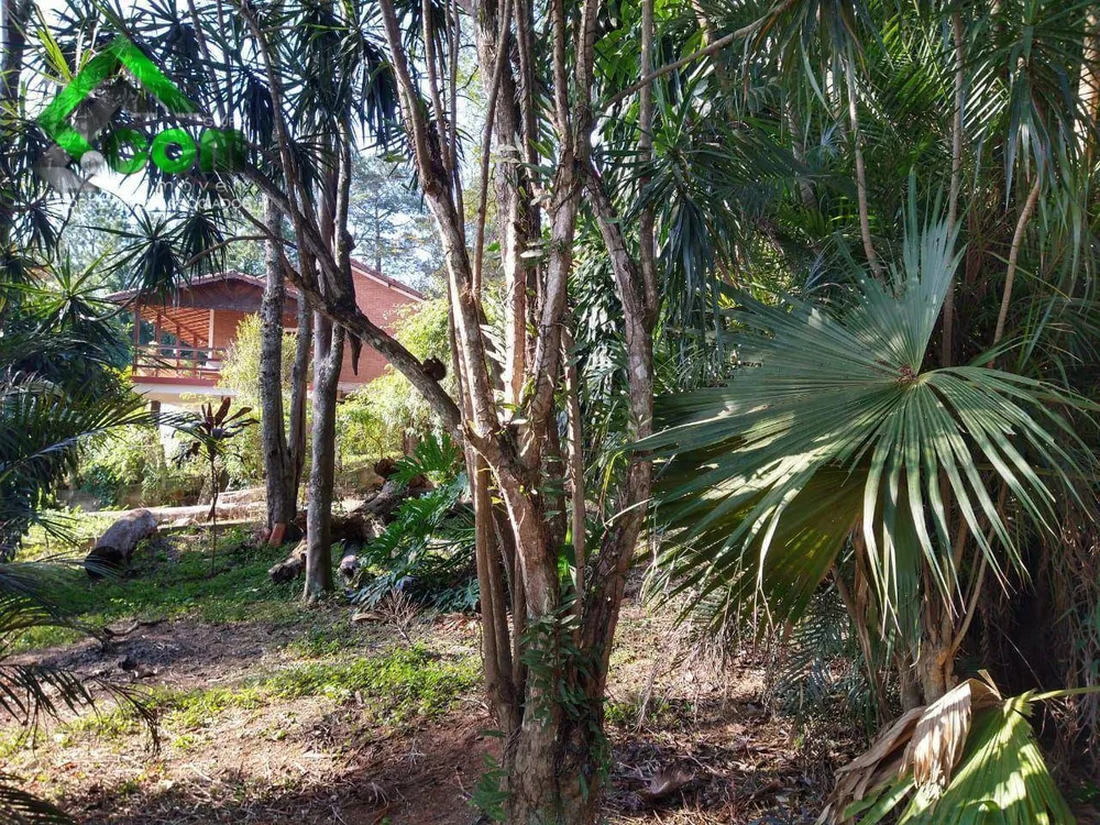 Chácara, 3 quartos, 1620 m² - Foto 3